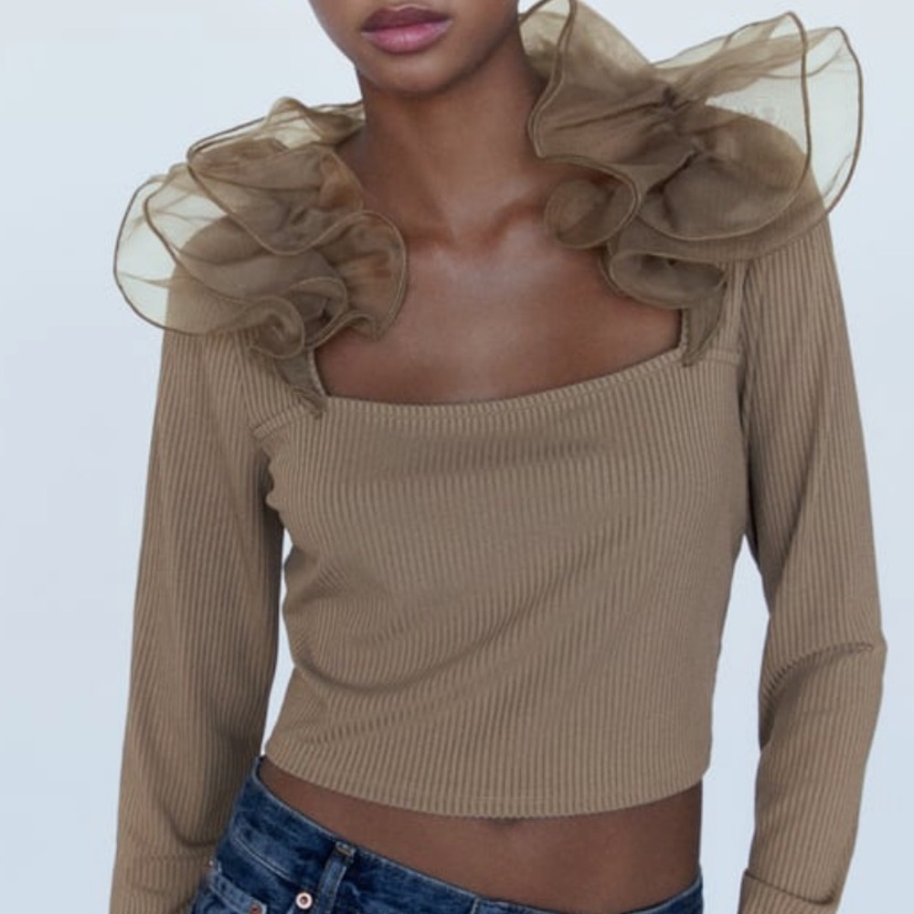 NWT Zara crop top with organza ruffle neck.